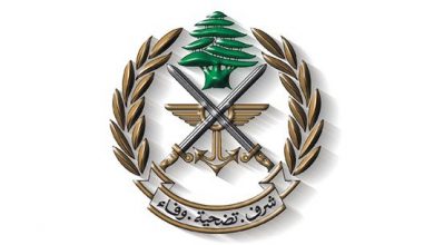 صورة “داعشي” يقع في قبضة الجيش