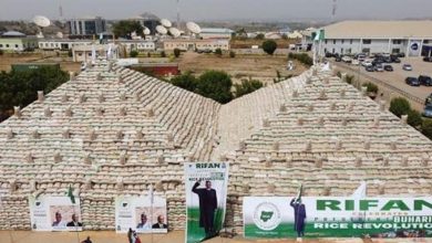 صورة خوفا من الجوع….بلد يبني أهراماً من الأرز!